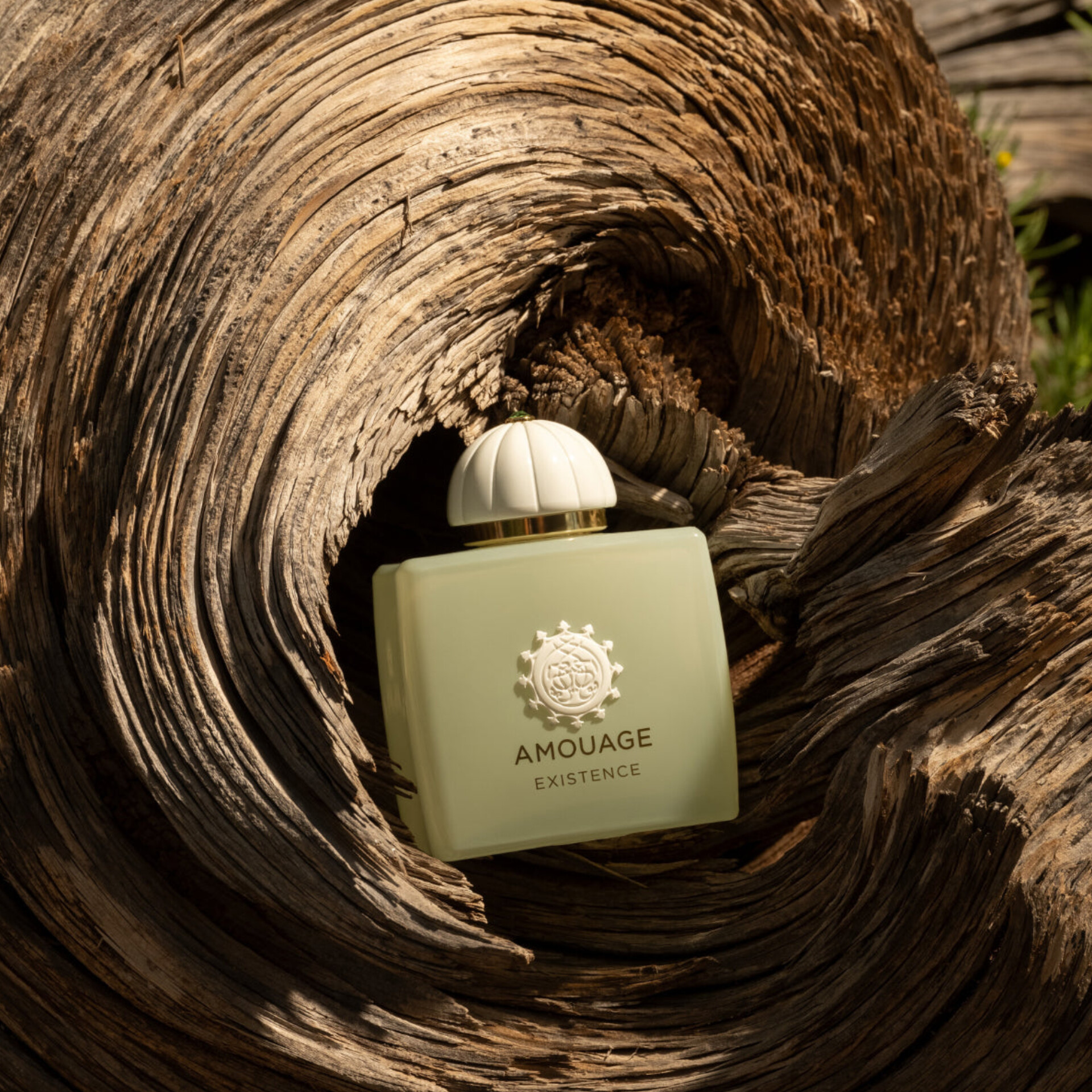 عطر ادکلن آمواج اگزیستنس زنانه