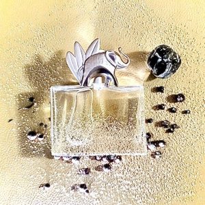 عطر ادکلن کنزو جانگل زنانه اصل | kenzo Jungle for Women EDP 100ml