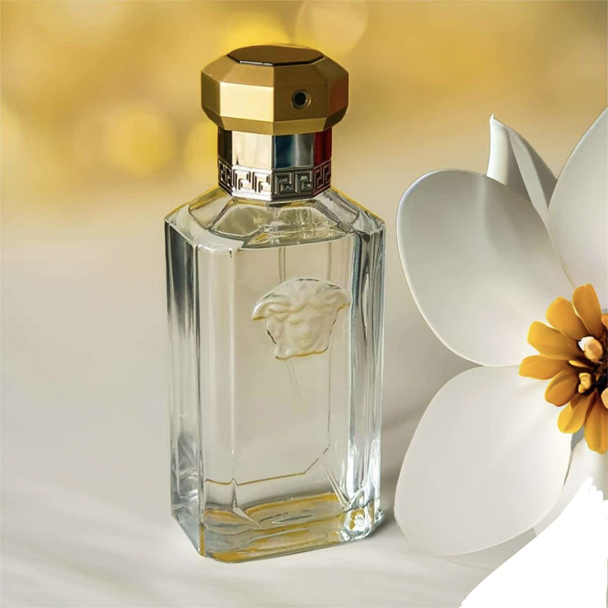 dreamer versace 100 ml