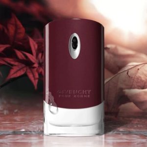 عطر ادکلن جیوانچی پورهوم اصل | Givenchy Pour Homme 100 ml