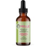 روغن رزماری ضدریزش میله اصل| Mielle Organics Rosemary Mint Scalp & Hair 59 ml
